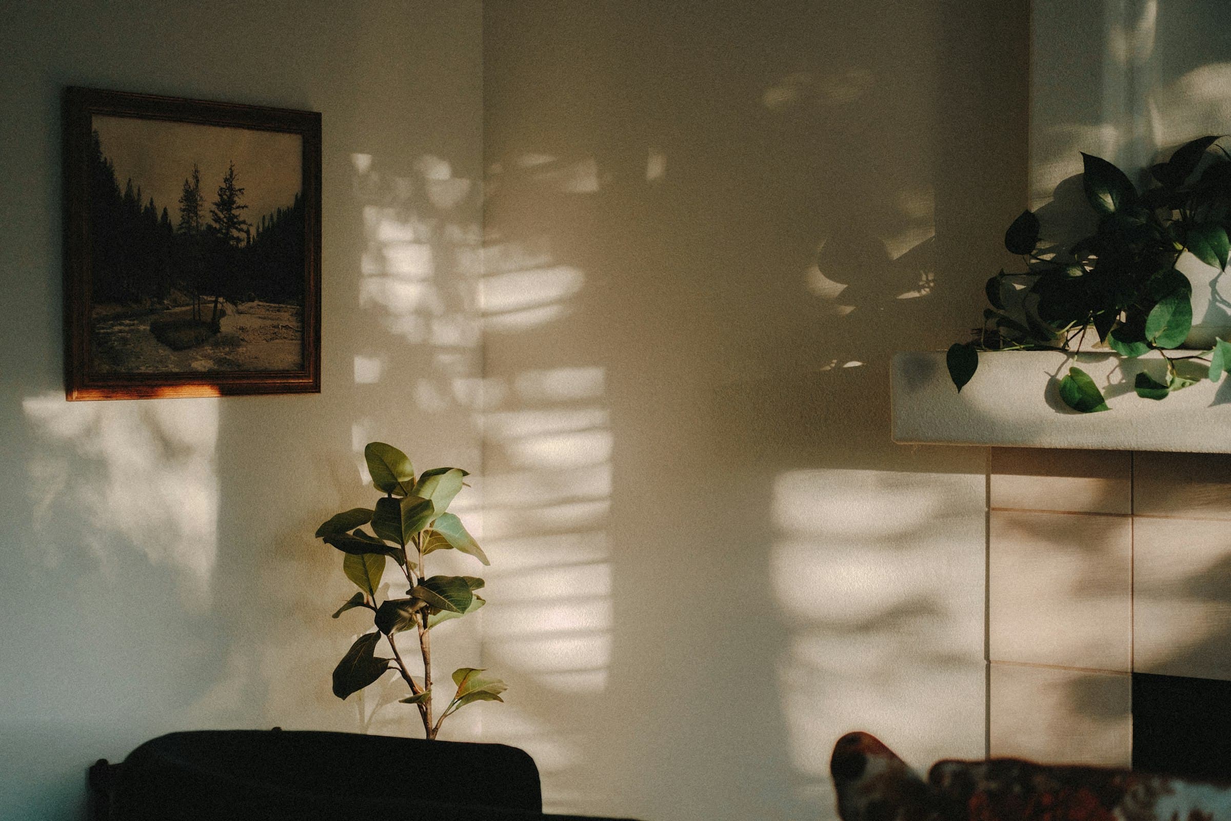 A calm, elegant living room in soft afternoon light